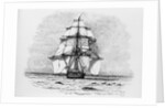 The Darwin Crew Homeward Bound Aboard the HMS Beagle by Anonymous