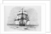 The Darwin Crew Homeward Bound Aboard the HMS Beagle by Anonymous