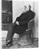 Naturalist Charles Darwin Seated by Anonymous