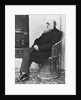 Naturalist Charles Darwin Seated by Anonymous