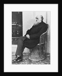 Naturalist Charles Darwin Seated by Anonymous