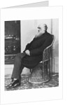 Naturalist Charles Darwin Seated by Anonymous