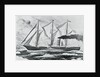 Painting of the S.S. Roosevelt by Anonymous