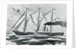 Painting of the S.S. Roosevelt by Anonymous