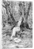Beethoven Lounging in the Forest by Anonymous