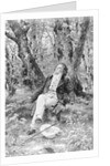 Beethoven Lounging in the Forest by Anonymous