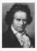 Portrait of Composer Ludwig Van Beethoven by Anonymous