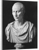 Julius Caesar Sculpture by Anonymous
