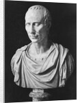 Julius Caesar Sculpture by Anonymous
