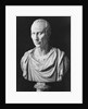 Julius Caesar Sculpture by Anonymous