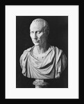 Julius Caesar Sculpture by Anonymous
