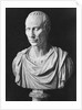 Julius Caesar Sculpture by Anonymous