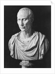 Julius Caesar Sculpture by Anonymous