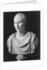 Julius Caesar Sculpture by Anonymous