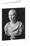 Julius Caesar Sculpture by Anonymous