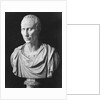 Julius Caesar Sculpture by Anonymous