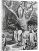 Druids Collecting Mistletoe to Symbolize Peace by Anonymous