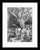 Druids Collecting Mistletoe to Symbolize Peace by Anonymous