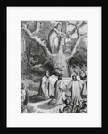 Druids Collecting Mistletoe to Symbolize Peace by Anonymous