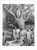 Druids Collecting Mistletoe to Symbolize Peace by Anonymous