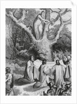 Druids Collecting Mistletoe to Symbolize Peace by Anonymous