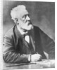 Portrait of Jules Verne by Anonymous
