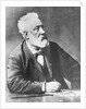 Portrait of Jules Verne by Anonymous