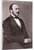 Portrait of Prince Albert Reclining by Anonymous