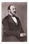 Portrait of Prince Albert Reclining by Anonymous