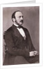 Portrait of Prince Albert Reclining by Anonymous