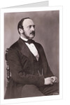 Portrait of Prince Albert Reclining by Anonymous