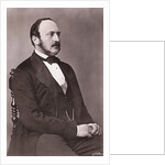 Portrait of Prince Albert Reclining by Anonymous