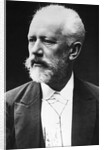 Russian Composer Tchaikovsky by Anonymous