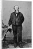 Portrait of Public Leader Edwin Stanton by Anonymous