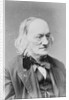 Sir Richard Owen by Anonymous