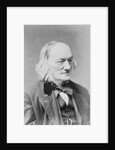 Sir Richard Owen by Anonymous
