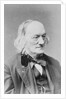 Sir Richard Owen by Anonymous