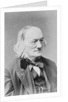 Sir Richard Owen by Anonymous