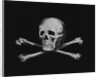 Skull and Crossbones by Anonymous