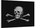 Skull and Crossbones by Anonymous