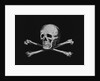 Skull and Crossbones by Anonymous