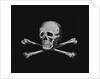 Skull and Crossbones by Anonymous