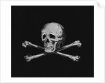 Skull and Crossbones by Anonymous