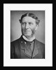 Portrait of Mathew Arnold by Anonymous