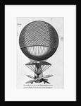 Engraving of Balloon Used by Jean Pierre Francois Blanchard