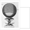 Engraving of Balloon Used by Jean Pierre Francois Blanchard