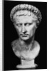 Bust of Augustus by Anonymous