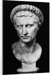 Bust of Augustus by Anonymous