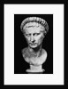 Bust of Augustus by Anonymous