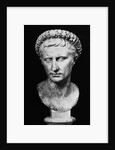Bust of Augustus by Anonymous